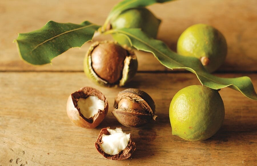 truffe, crème et chocolat